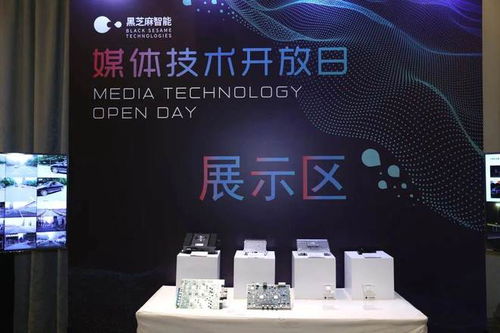 東風(fēng)投資芯片設(shè)計(jì)公司 布局自動(dòng)駕駛核心硬件